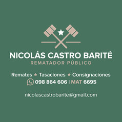Nicolas Castro Barite - Rematador