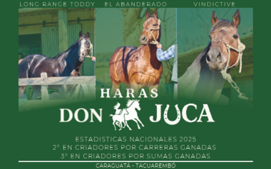 Haras Don Juca