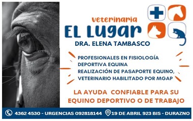 VETERINARIA EL LUGAR - DURAZNO