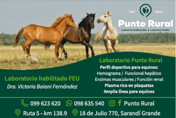 PUNTO RURAL - SDI GRANDE