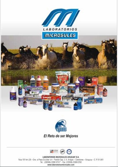 LABORATORIO MICROSULES