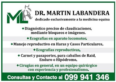DR. MARTIN LABANDERA