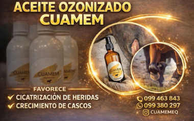 CUAMEM - ACEITE OZONIZADO