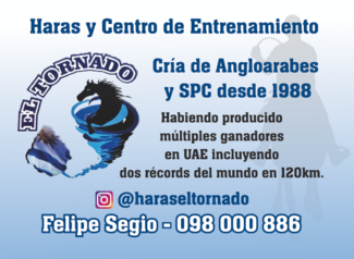 HARAS y CENTRO DE ENTRENAMIENTO - EL TORNADO
