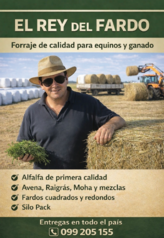 EL REY DEL FARDO