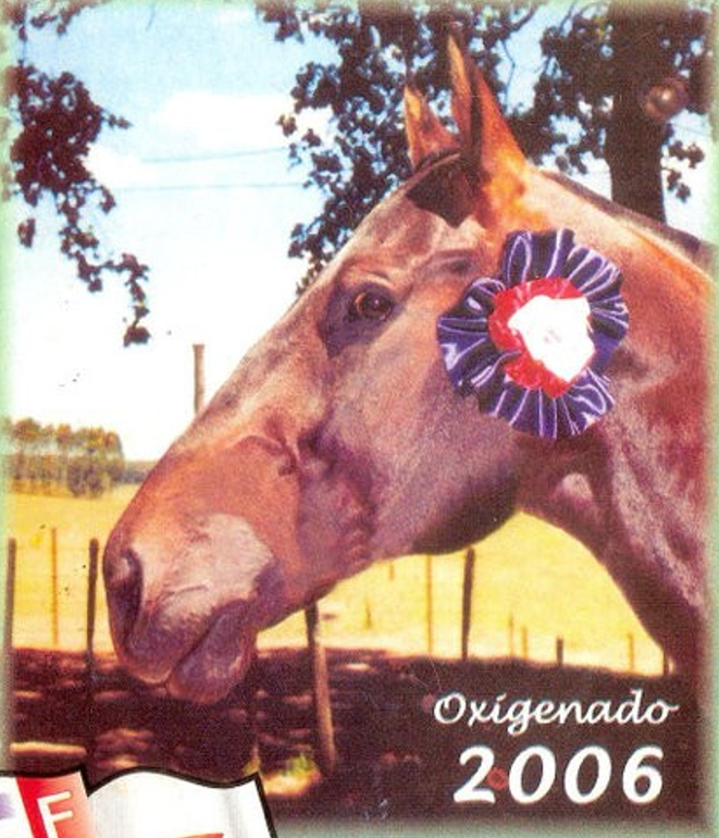 Oxigenado