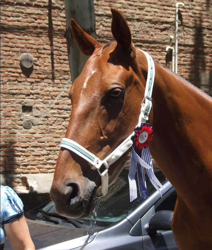 El Ventarron