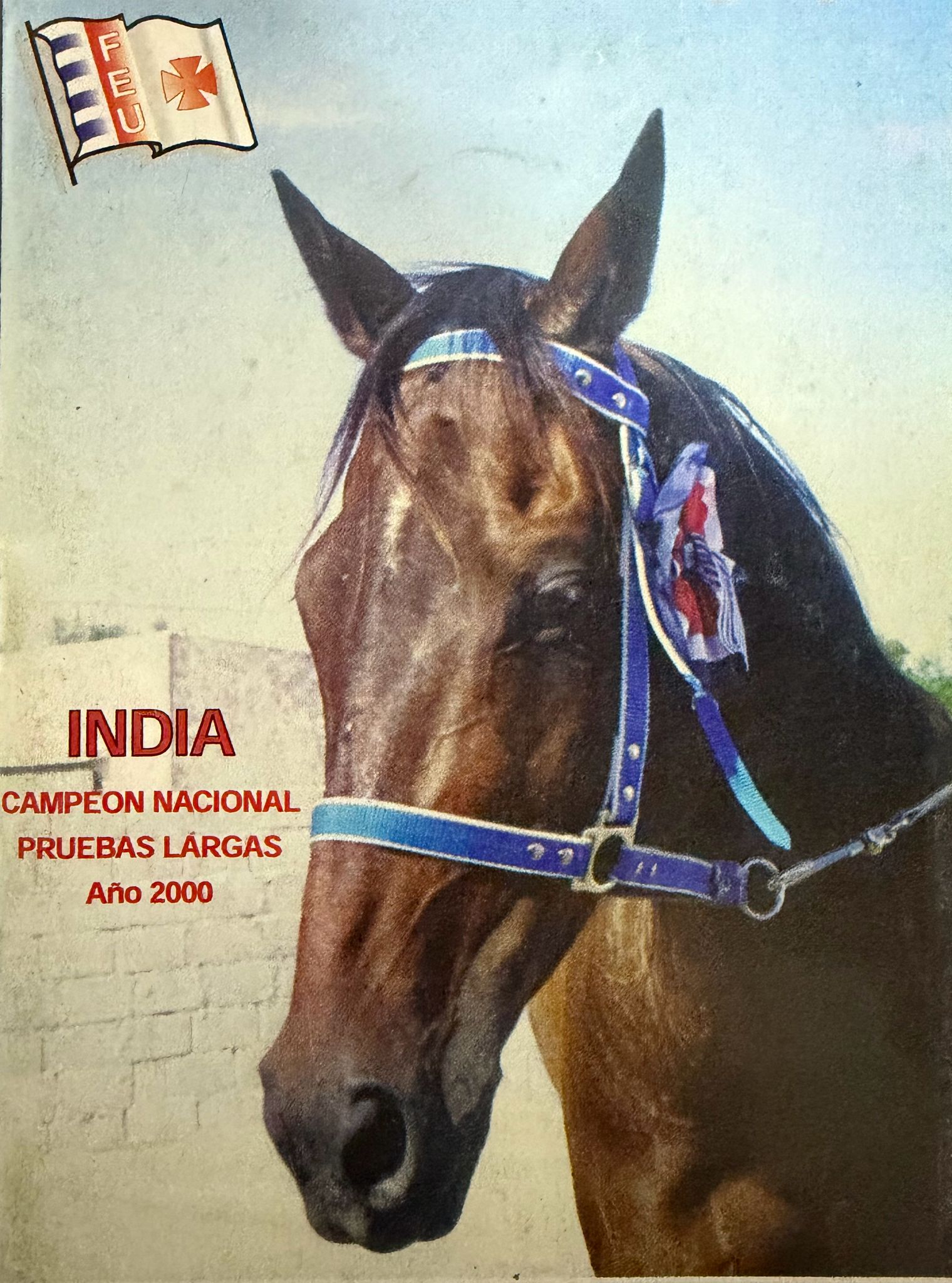 India