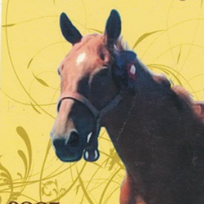 Tauro