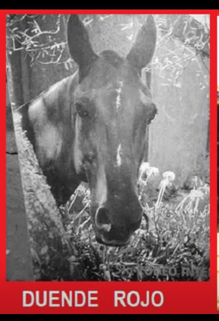 Duende Rojo (caballo)